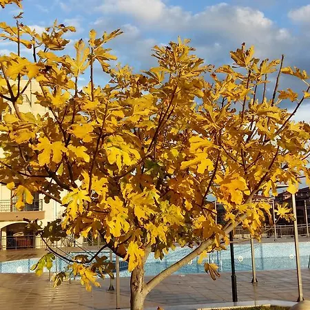 公寓式酒店 Sorrento Sole Mare