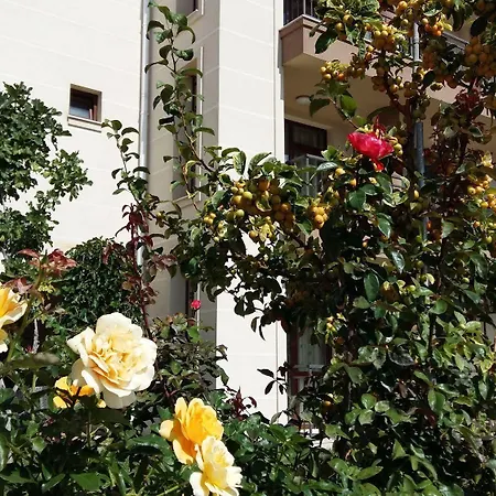 公寓式酒店 Sorrento Sole Mare