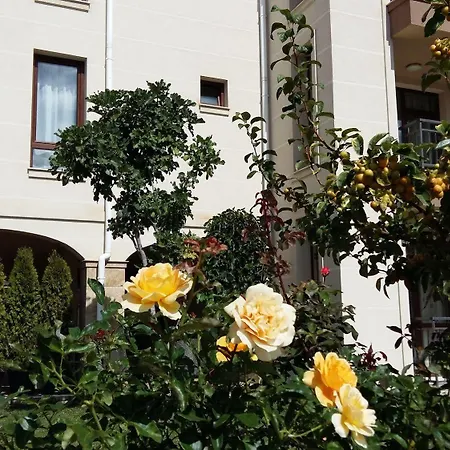 公寓式酒店 Sorrento Sole Mare 圣弗拉斯