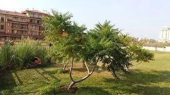 アパートホテル Sorrento Sole Mare