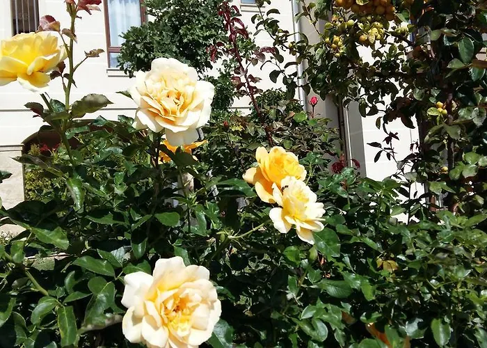 מלון דירות Sorrento Sole Mare