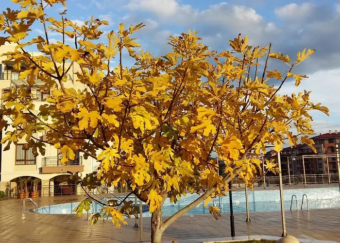 מלון דירות Sorrento Sole Mare