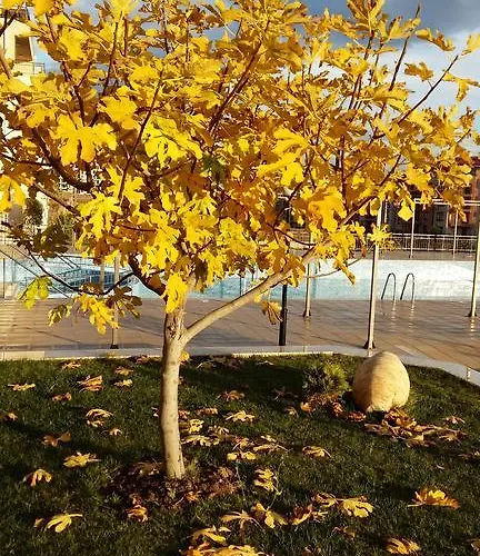 מלון דירות Sorrento Sole Mare 3*